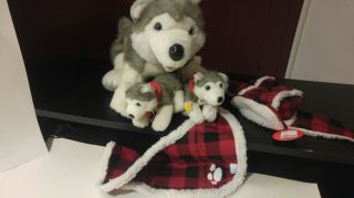Build A Bear Siberian Husky Stuffed Toy With 2 Mini Husky Pups Hat And Cap