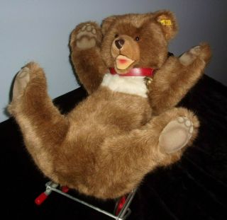 Very Large Steiff Brown Bear On Wheels 21 " Long With Ear Pin 8150/40 W.  Germany
