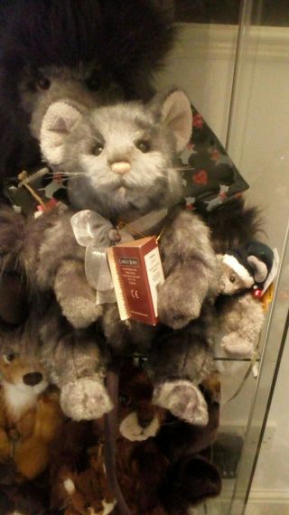 Templeton Charlie Bear With Tags On