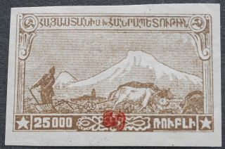 Armenia 1922 - 1923 Regular Issue,  Handstamp Surcharge,  50 Kop / 25000 R,  Mh