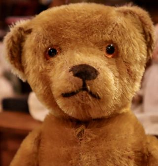 14 " Antique Fully Jointed Mohair Teddy Bear W/glass Eyes,  C1920 W/hump