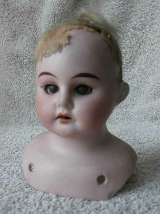 Antique German Bisque Doll Shoulderplate Head 4 " As Found L W & C
