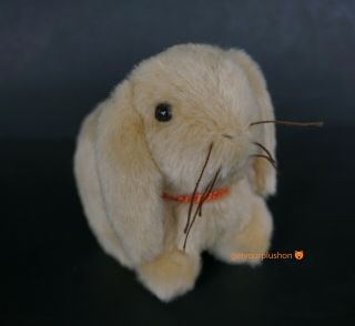 American Girl Lanie Pet Bunny Meet Accessory With Orange Leash Tan Plush Rabbit