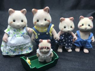 Calico Critters Mulberry Raccoons Family Of 5 With Baby Sylvanian Familes