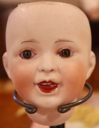 Antique 3 1/2 " French Bisque Sfbj 236 Character Doll Head