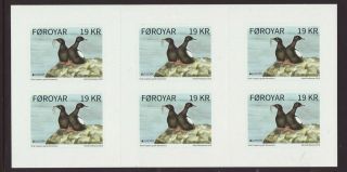 Faroe Islands 2019 Mnh - Europa - Birds - Booklet Of 6 Stamps