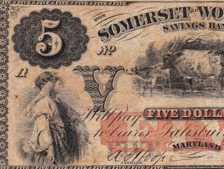 Salisbury,  Md Maryland $5 1862 Somerset & Worcester Savings Bank Obsolete Note