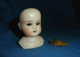 Antique German Bisque Head Doll Mold 16/0 Glass Eyes with Teeth Germany 2