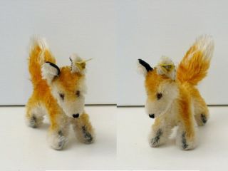 Steiff Fox Xorry,  11 Cm With Button And Tag