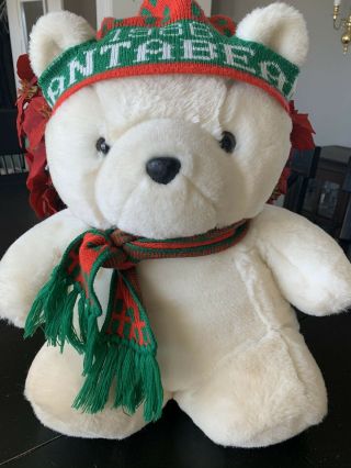 Dayton Hudson Vintage Santa Bear 1986 Christmas Stuffed Animal
