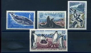 French Southern & Antarctic Territories Fsat 1962 - 72 Mnh Selection Sg Cat £160