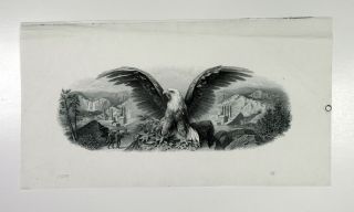 Abn Proof Vignette " Bald Eagle W/miners " 1900 - 30s Intaglio Cu Black