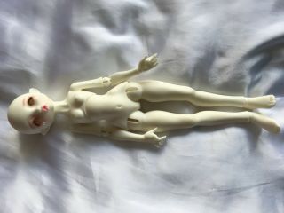 1/6 Yosd Recast Noble Doll Radicelle In White Skin W Faceup