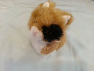 American Girl Doll Pet Cat Ginger Calico Kitty Collar Kitten Displayed Only