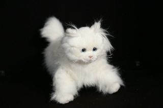 My Twinn Poseable Pets White Persian Kitty Cat Plush Toy Doll