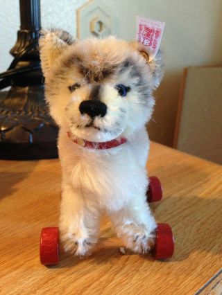 Steiff Mohair Husky Dog On Wheels Limited Edition Christmas Ornament