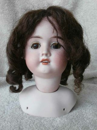Antique German 63 Bisque Doll Head As Found