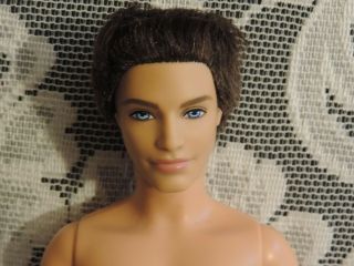 Barbie Ken Sporty Ryan Doll Rooted Hair Brown Fashionista Boyfriend Articulated