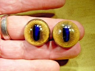 A Pair Vintage Solid Glass Eyes Size 24 Mm Teady Bear Taxidermy Age 1910 Art A1