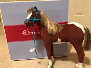 American Girl Paint Filly Horse With Box