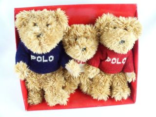 2002 Ralph Lauren Polo The Bears That Care Plush Teddy Bear Set Sweater