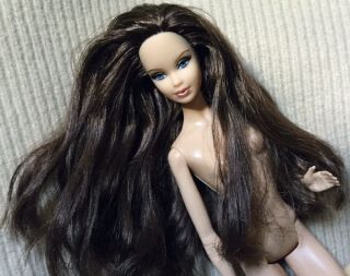 Barbie Model Muse Steffie Barbie Basics Red Target Model 03 Long Brown Hair Nude