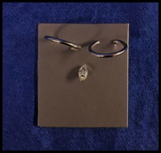 Integrity Toys Nu Face Annik Vandale Awakening “silver” Hoop Earrings And Ring