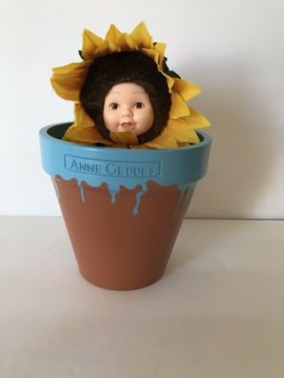 Anne Geddes Down In The Garden - Flower Pot Sunflower Baby