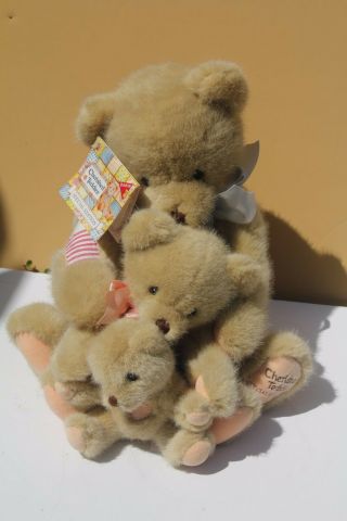 Cherished Teddies Stuffed Bear Special Ed Dakin Enesco Friend Sizes 1994 Plush
