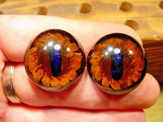 A Pair Vintage Solid Glass Eyes Size 29 Mm Teady Bear Taxidermy Age 1910 A 1159