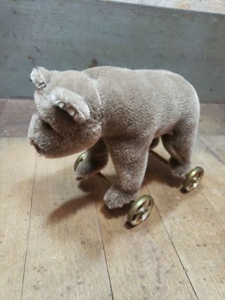 Steiff With Brass Tag In Ear Mohair Bear On Wheels - Pull Toy