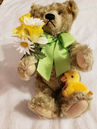 Steiff Bear - " Spring " Bear From Danbury With Daffodils And Duck