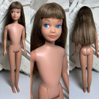 Sweet Vintage Fashion Doll Japan Barbie Skipper Brunette Straight Legs