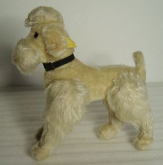 Vintage 50s/60s Steiff White Mohair Snobby Poodle Dog With Button And Tag