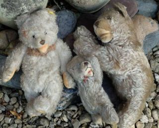 3 Old Vintage Steiff & Hermann Bears,  For Tlc As Found,