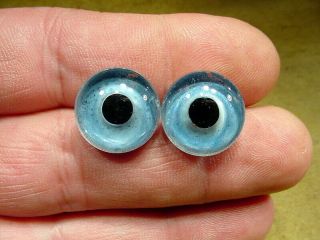 A Pair Vintage Solid Doll Glass Eyes Size 16 Mm Doll Or Taxidermy Age 1910 3373