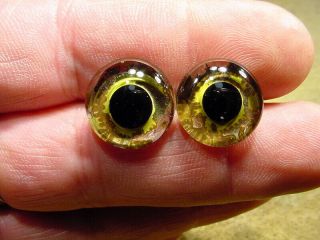 A Pair Vintage Solid Doll Glass Eyes Size 16 Mm Doll Or Taxidermy Age 1910 3376