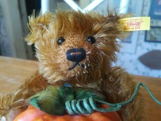Steiff Teddy Bear Herbst Autumn Bear With Pumpkin Ean 028199 Germany 7in Euc