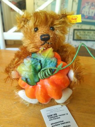 Steiff Teddy bear Herbst Autumn Bear with pumpkin EAN 028199 Germany 7in EUC 2