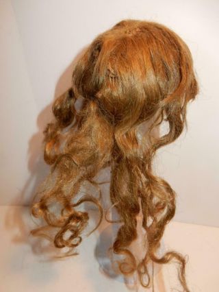 Antique Human Hair Wig For German French Bisque Character Doll Sz 11 - 12