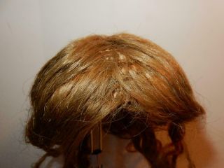 ANTIQUE HUMAN HAIR WIG FOR GERMAN FRENCH BISQUE CHARACTER DOLL SZ 11 - 12 2