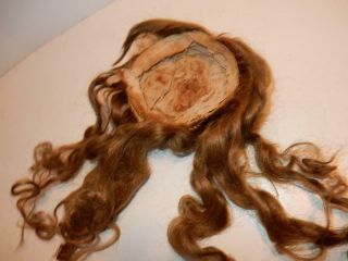 ANTIQUE HUMAN HAIR WIG FOR GERMAN FRENCH BISQUE CHARACTER DOLL SZ 11 - 12 3