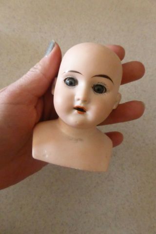 Antique Bisque Armand Marseille German Doll D E P Marked 3700 Head Only