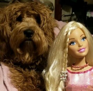 Mattell 28 " Barbie Cond.  Lifesize Doll Only W/free Jewelry Dog Not