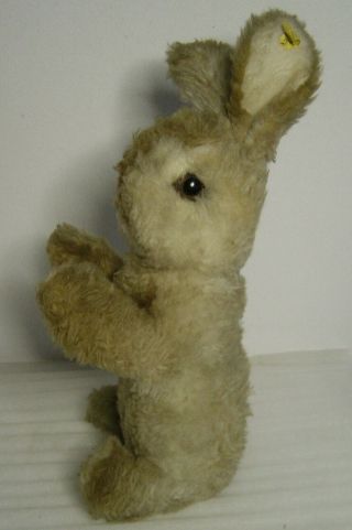 Large Vintage 60s/70s Steiff Plush Bunny Rabbit With Button And Tag