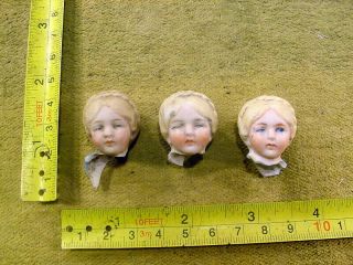 3 X Excavated Vintage Victorian Faded Painted Doll Head Age 1890 Hertwig A 14133