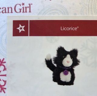 American Girl Doll Black Licorice Cat Pet