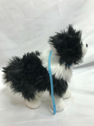 American Girl Saige ' s DOG Rembrandt for Saige Doll BLACK white Collie WITHOUTbox 2