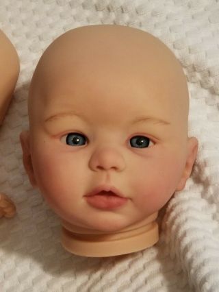 Reborn Doll Head With Eyes And Legs - - Kylin By Laura Tuzio Ross.  Painted