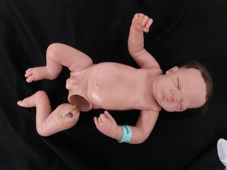 Ashton Drake Galleries Newborn Baby Boy Doll Adg Lw Lifelike